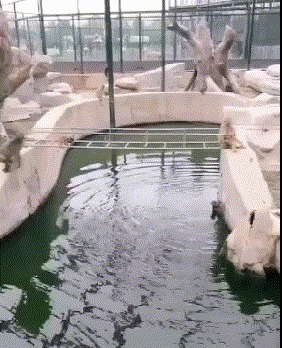 |搞笑GIF:美女这表情真是丰富啊,不去当演员亏了啊