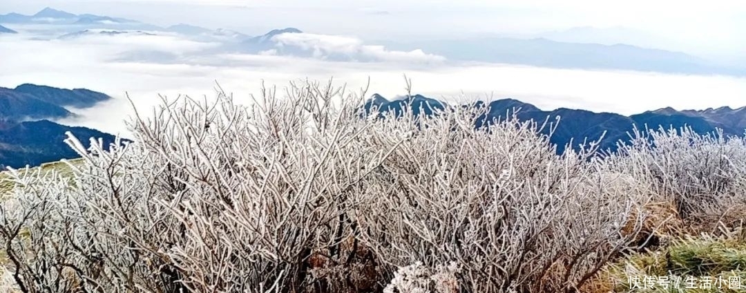 武功山|下雪啦！武功山初雪如约而至，美景先睹为快！