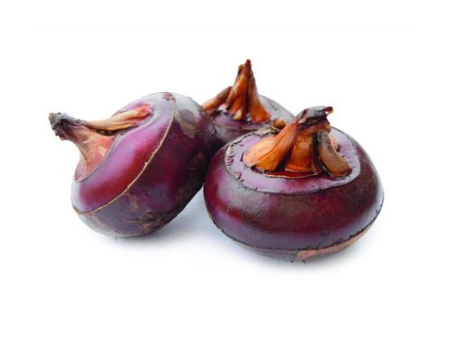 荸荠|发烧成了2岁小男孩的“催命符”,3个退烧小常识,很有必要了解