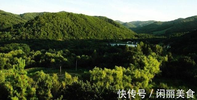 自然保护区|黑龙江省鸡西、双鸭山市5A、4A级旅游景区名录，喜欢的收藏