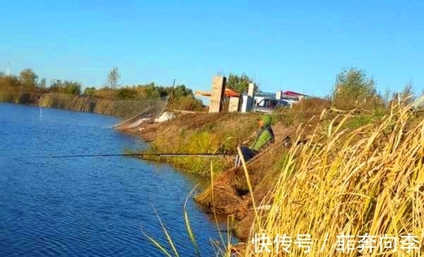 西南风|冬季钓鱼，看准风向选时机，北风和南风，哪种风向鱼最好钓？