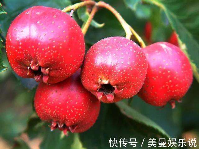 血管|脸上出现这2个变化,要注意了!降血脂、护血管的食物都在这了