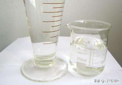 黑虫|多肉长虫了怎么办3个小方法,虫子一个都不见,叶片又肥又美