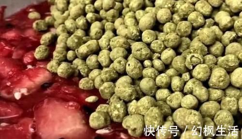 夏天,遇到此果必买50斤,2毛钱1斤,做成酱最好吃,做1次吃半年