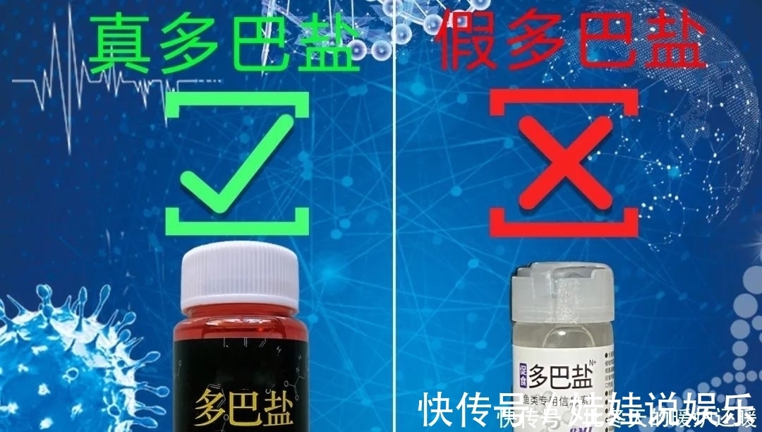 柳根鱼|如何钓柳根鱼？柳根鱼喜欢吃什么味型的食物？钓柳根鱼的技巧