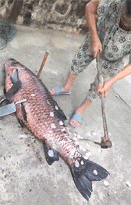 |搞笑GIF:你永远都猜不到 睡着后损友会对你做什么