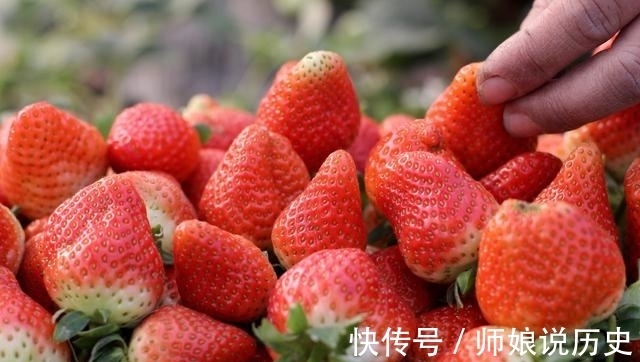 肉桂|十大糖尿病超级食品