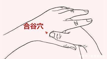 55岁后为长寿关键期,保“三处”,按“三穴”,长寿健康随之而来