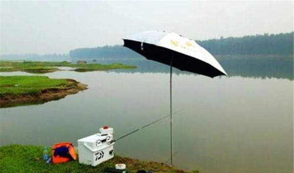 野河钓鱼，找鱼窝的常用方法，找拐弯找水草，不过这种地形才最佳