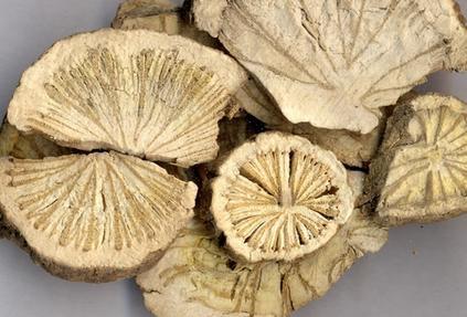 湿气|中医入门8种祛湿利水中药,除湿气,消水肿的好手,一次讲清楚