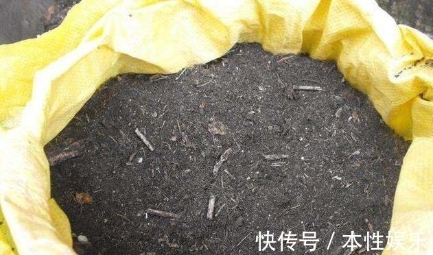 塑料袋|养花土,用一个塑料袋,轻松杀虫灭菌,花盆里一个虫子都没有
