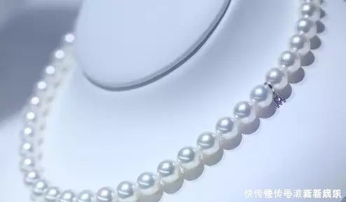 珍珠|亲临MIKIMOTO珠宝基地,揭秘顶级珍珠诞生的背后真相