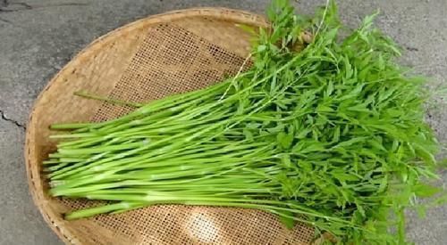 排毒养颜|中年的人可以多吃3种食物,排毒养颜、延缓衰老,好吃也不贵!