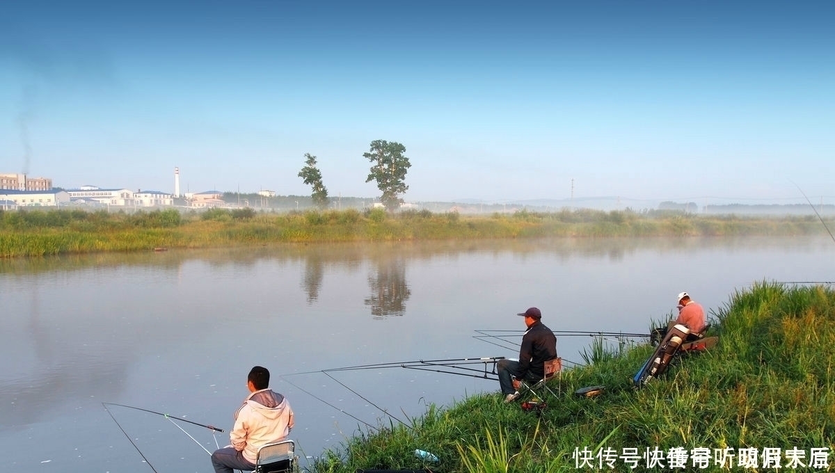 什么米最适合用来做打窝米钓鱼人都该知道