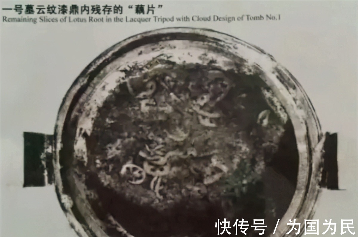 尸体&马王堆发现“活粽子”，考古队却无人敢动，盗墓贼不屑：让我来！