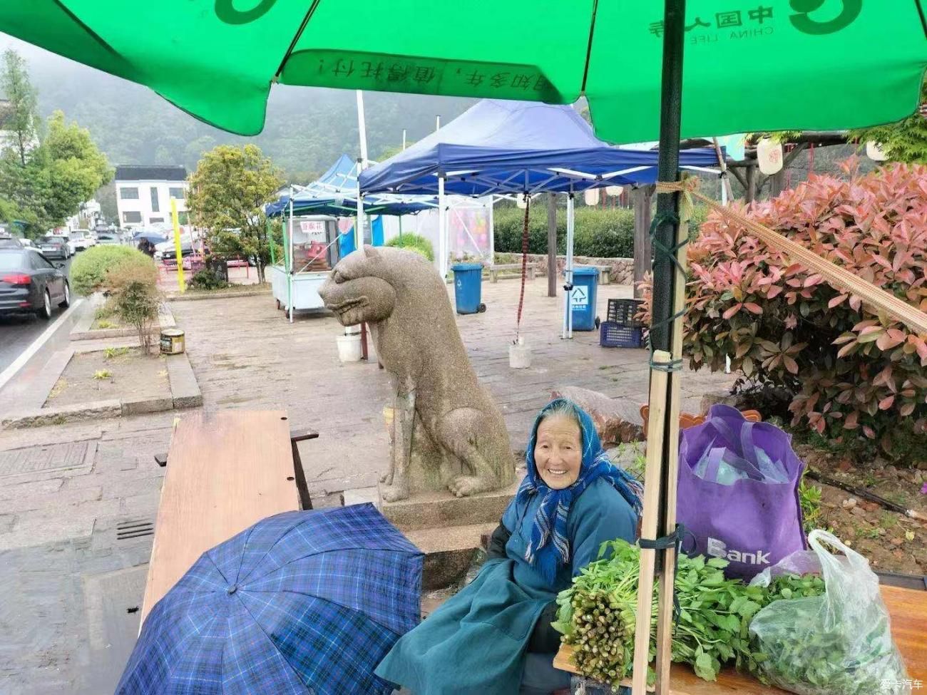 细雨邂逅虞山