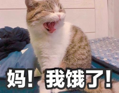 孩子|叫“妈”与叫“妈妈”的孩子,背后代表不同含义,前者要及时纠正