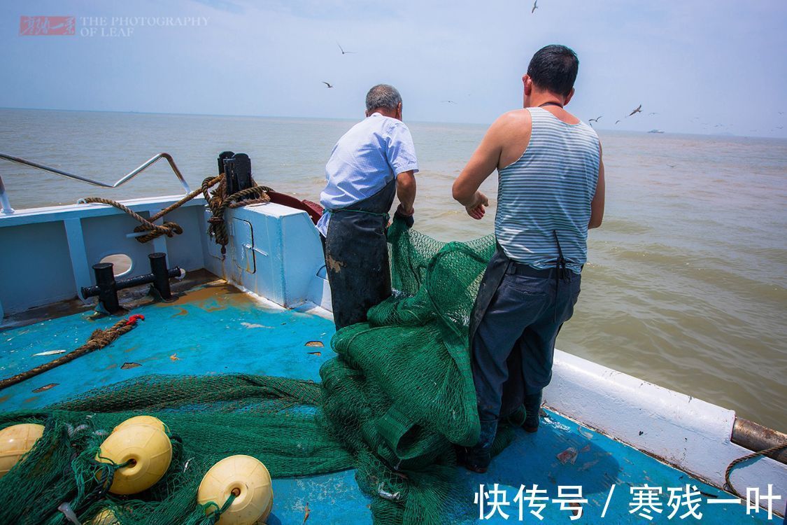 象山|二十人4500元包船出海捕鱼，捕获的海鲜吃完一餐，每人还分到一箱