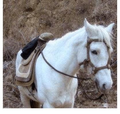 蜘蛛精$西游记幕后故事:黑熊怪一人分饰14角,二郎神比唐僧还禁欲