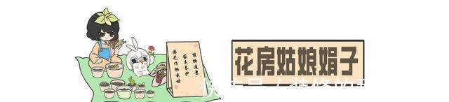 长寿花轻轻一碰就掉叶子，是这几个方面的情况造成的，要及时处理