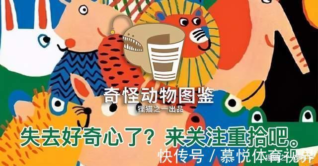 太阳鱼|一胎产上万只，5天孵化，四川多地发现大量太阳鱼，它有多可怕？