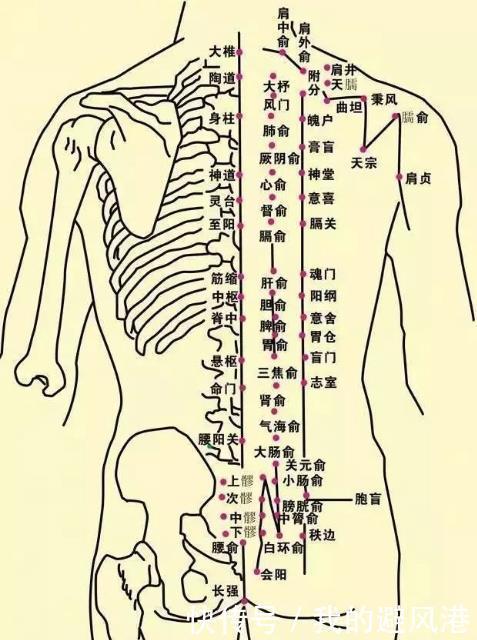  活动|中老年人常按摩此2个穴位，不仅能远离寒湿腰痛，还可以活动关节