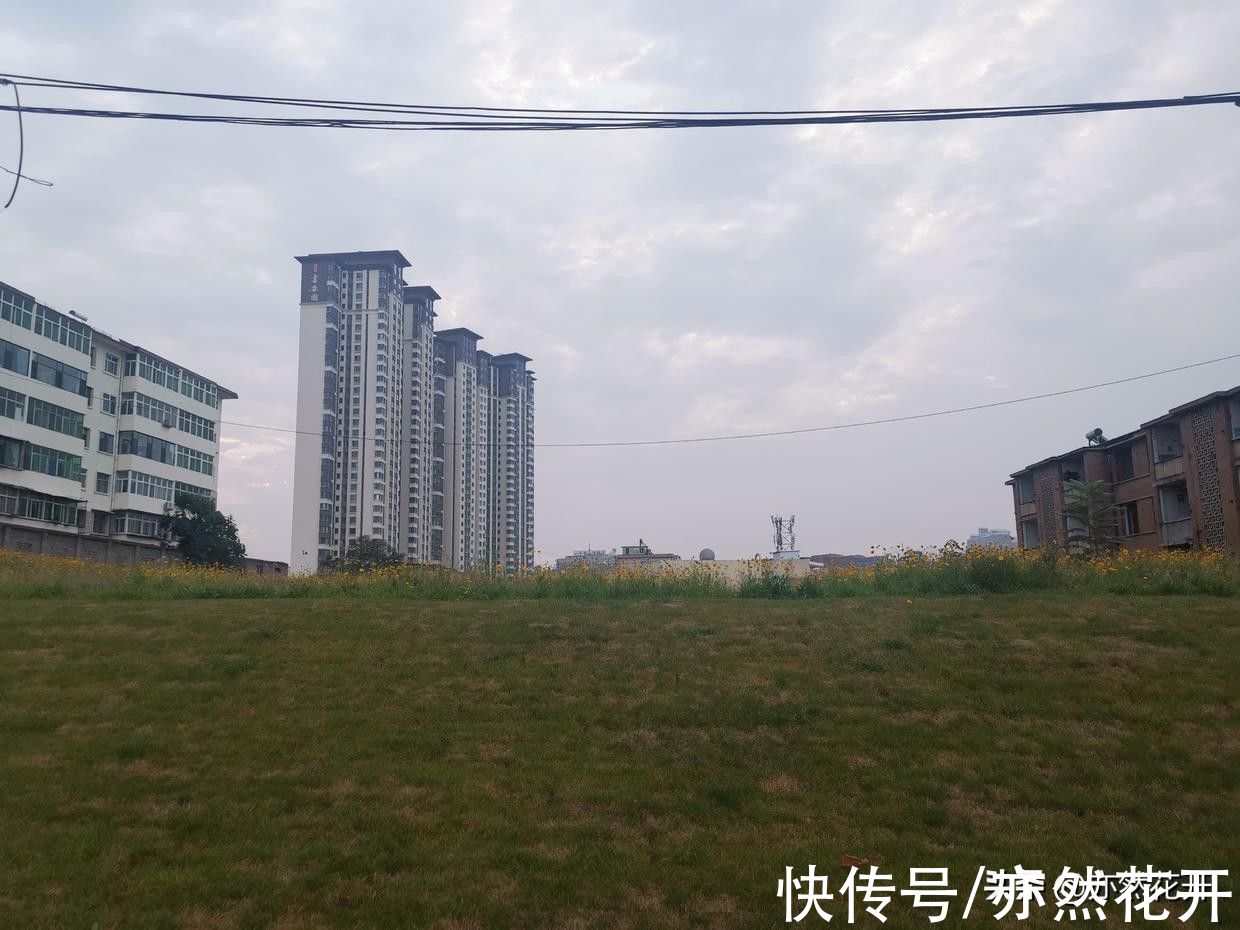 主线|故事写作：背景故事也是故事的一部分