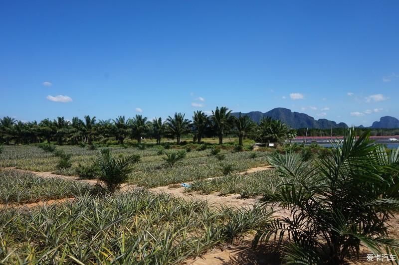 中年|一路乘风破浪---攀牙湾喀斯特群岛探索之旅。