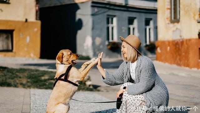 爱错|亦舒:好的爱情,会让人有一种强烈的感觉,如果没有多半爱错了