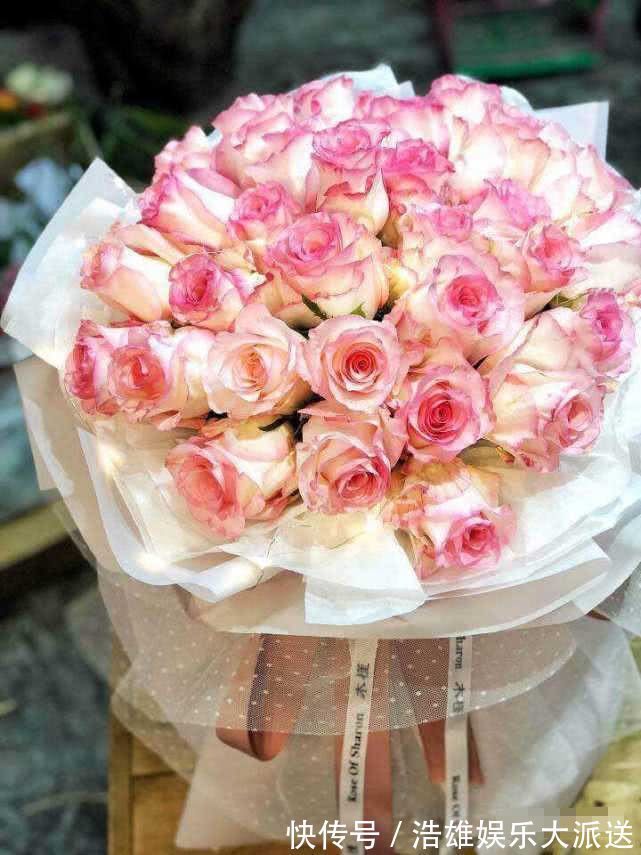 喜欢菊花,不如养盆优良玫瑰“红袖玫瑰” 似红颜知己,十分妩媚