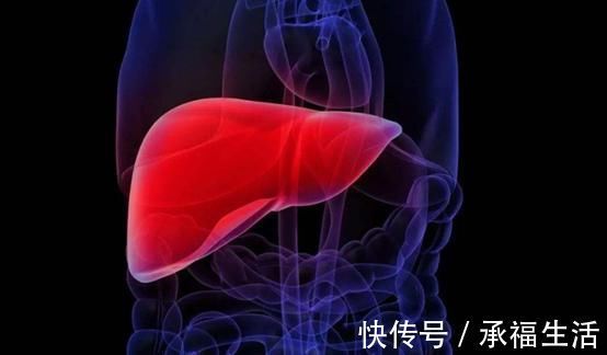 肝气郁结|早晨是养肝“黄金期”,4种早餐1种零食可劲吃,肝脏会很高兴