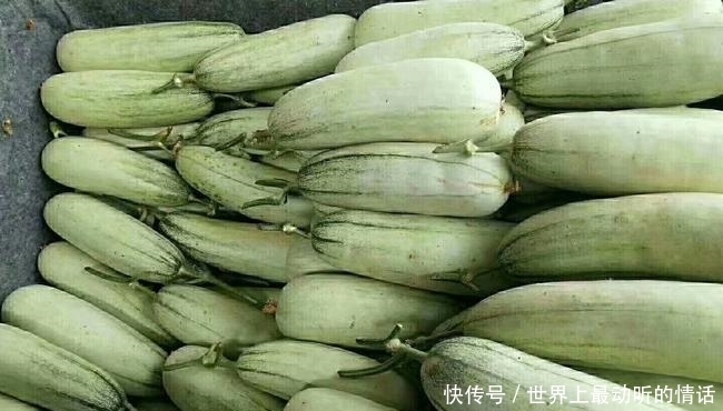 多汁|买羊角蜜时,记住这几招,挑选到的瓜香甜又多汁!