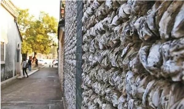 生蚝和海蛎长得很像,到底有什么区别海鲜达人一句话说出答案