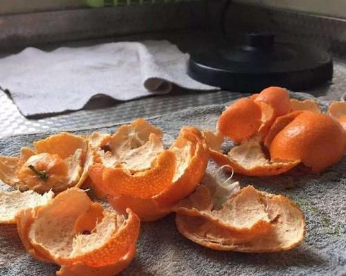  养花|自制肥水、腐叶土养花，既能多省钱又能养啥旺啥