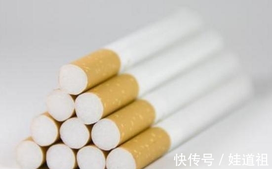 浇花|养花怕用肥不当,就自制这4样肥料,肥效温和持久,特好使