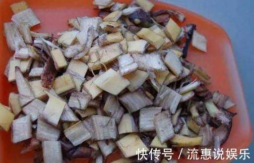 花盆|这3种“垃圾”别扔，丢在花盆里，花卉跟“打鸡血”一样蹭蹭长