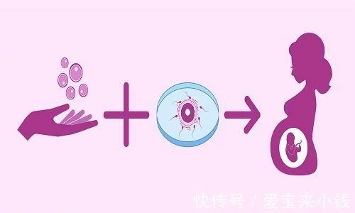 成都供卵三代试管（试管婴儿是在“试管”中出生的婴儿吗？）