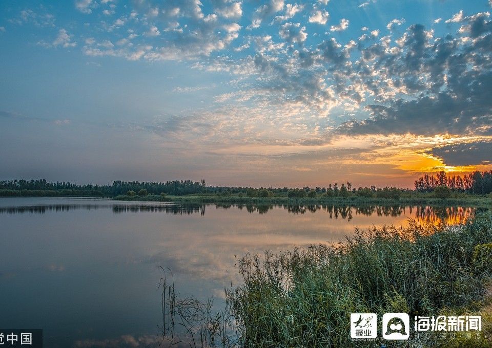 龙湖|济南：龙湖湿地夏末美景让人陶醉