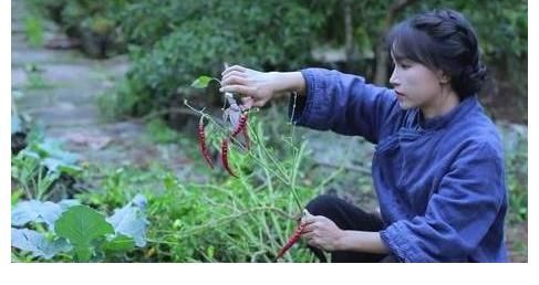 李子柒|李亚鹏为什么要“挖走”李子柒的团队？