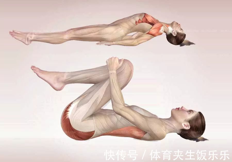 鞋带式|“身体越硬人越老”?!你需要瑜伽拉伸一下……