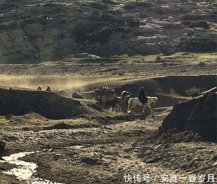 哈萨克|草原上的生命大迁徙哈萨克转场