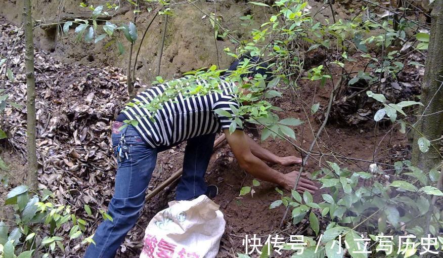 有了农村来的这几样东西,再名贵的花卉都可以养的很好