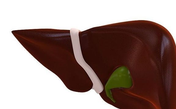 养肝护肝|早上是养肝“黄金时间”,早餐吃对了,肝会很“高兴”