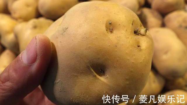 买多的土豆别乱放，教你正确的保存方法，久放不坏，不长芽不变绿