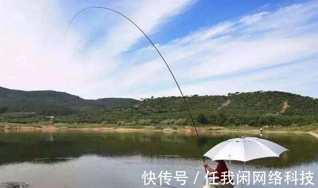 为何夏季钓鲫鱼又少又小,到了冬季又大又多难道是鱼挑食