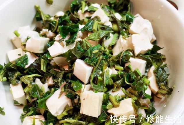 香椿芽|春天，豆腐和它才是绝配，不炒也不煎，焯下水拌一拌，太解馋了