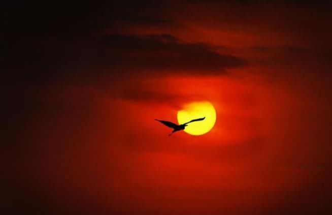 王勃|王勃只活了27岁,写下一首诗,短短四句,却被传颂了千年!