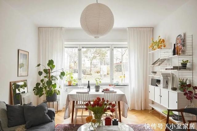 范儿|47平米充满植物的家,小户型也能打造奇幻北欧风!