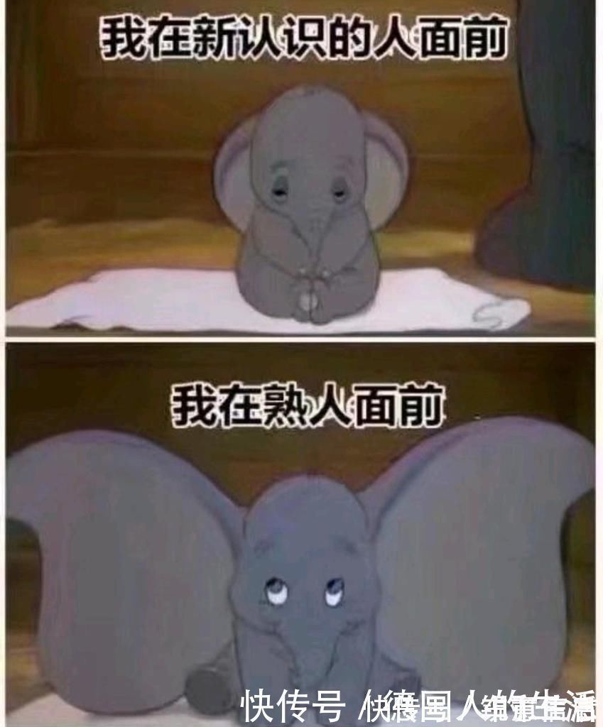 |搞笑趣图:当我尝试解开试卷上的问题VS当我玩游戏为角色配装备……