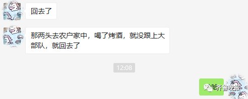 两头|这个野象“逛吃团”火了！“拖家带口”一路向北，有两头喝醉掉队了…